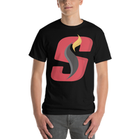 Stockton Heat (XL logo)