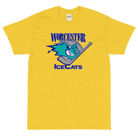 Worcester IceCats (XL logo)