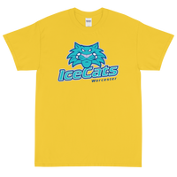 Worcester IceCats (XL logo)