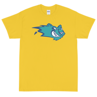 Worcester IceCats (XL logo)