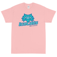 Worcester IceCats (XL logo)