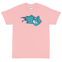 Worcester IceCats (XL logo)