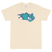 Worcester IceCats (XL logo)