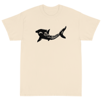 Hammerheads