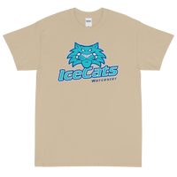 Worcester IceCats (XL logo)