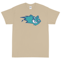 Worcester IceCats (XL logo)