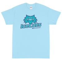 Worcester IceCats (XL logo)