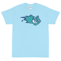 Worcester IceCats (XL logo)