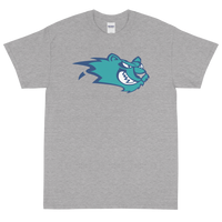 Worcester IceCats (XL logo)