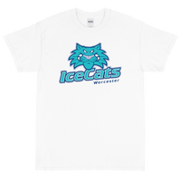 Worcester IceCats (XL logo)