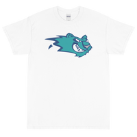 Worcester IceCats (XL logo)