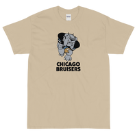 Chicago Bruisers