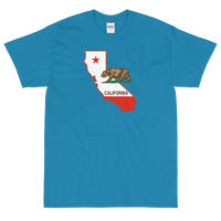 State Flag of California