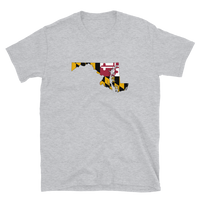 State Flag of Maryland