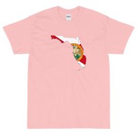 State Flag of Florida