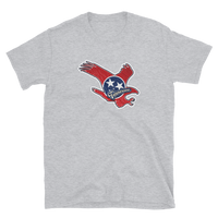 State Flag of Tennessee