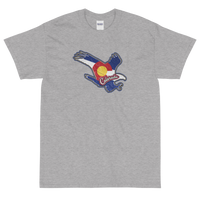 State Flag of Colorado