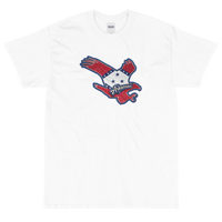 State Flag of Arkansas