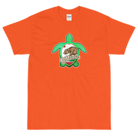 State Flag of California