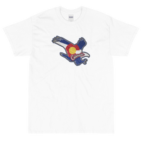 State Flag of Colorado