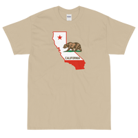 State Flag of California