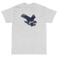 State Flag of Alaska