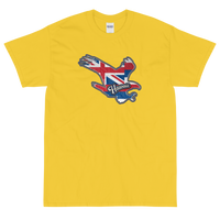 State Flag of Hawaii