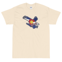 State Flag of Colorado