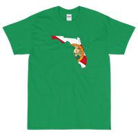 State Flag of Florida