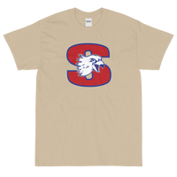 Springfield Falcons (XL logo)