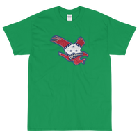 State Flag of Arkansas