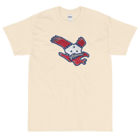 State Flag of Arkansas