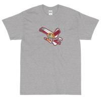 State Flag of Florida