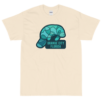 Orange City, Florida