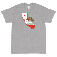 State Flag of California