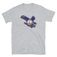 State Flag of Virginia