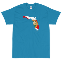 State Flag of Florida