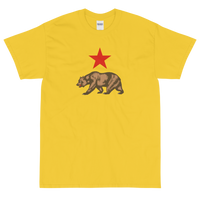 State Flag of California