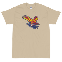 State Flag of Arizona