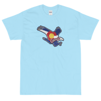 State Flag of Colorado