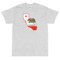 State Flag of California