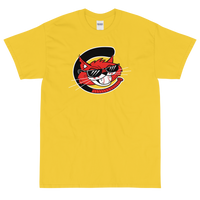 Charleston Alley Cats