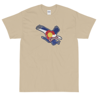 State Flag of Colorado