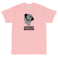 Chicago Bruisers