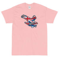 State Flag of Hawaii