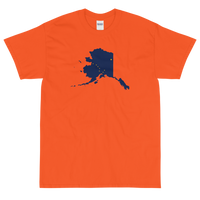 State Flag of Alaska