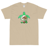 State Flag of California