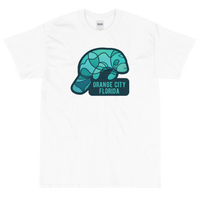 Orange City, Florida