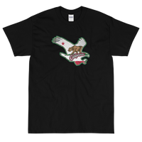 State Flag of California