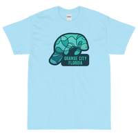 Orange City, Florida